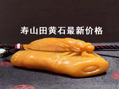 壽山田黃石最新價格（壽山田黃石最新價格行情）
