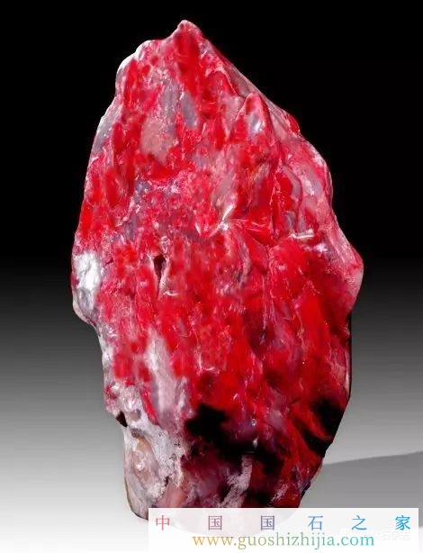 價值過億的極品雞血石，最貴的巴林雞血石 歷險記