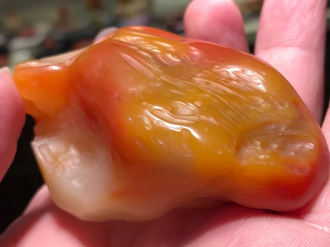 壽山芙蓉原石的切開這塊石頭才懂 壽山芙蓉原石的切開這塊石頭才懂