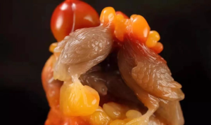 老撾石和壽山石有收藏價值嗎