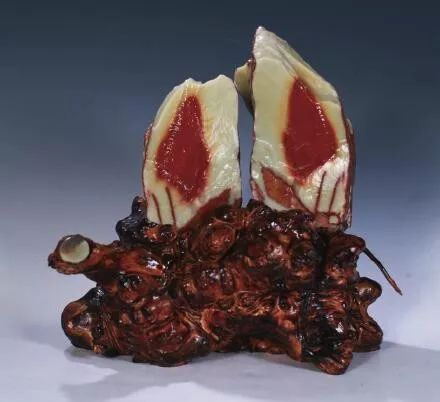 林福照 林如奎 張愛廷大師作品 國石青田石雕印章巡回展