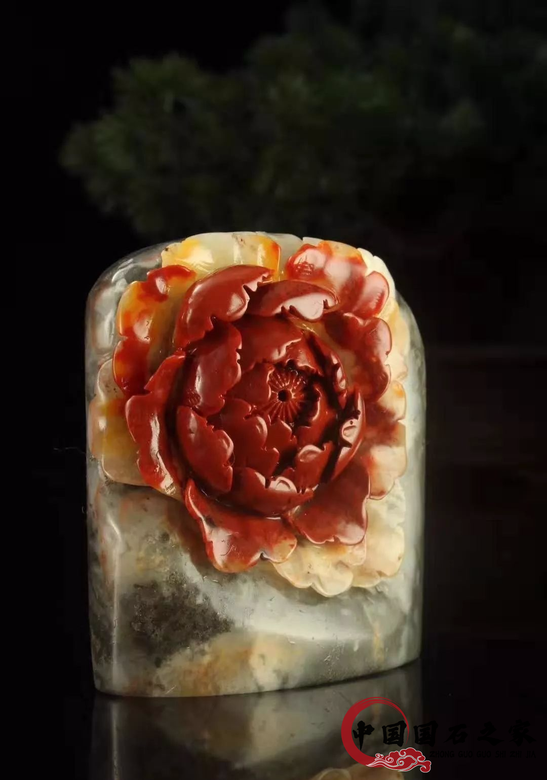 老撾石圖片 老撾石收藏之四：“滄海明珠”五彩石