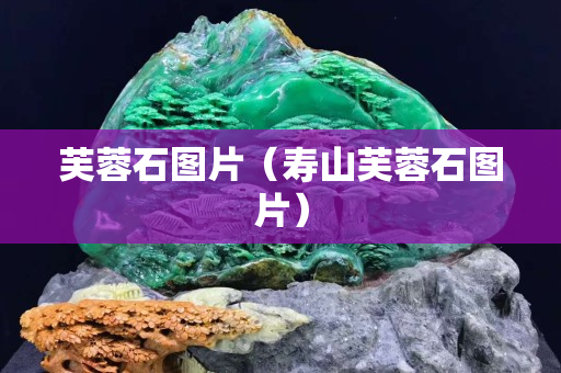 芙蓉石圖片（壽山芙蓉石圖片）