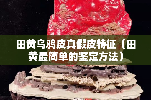 田黃烏鴉皮真假皮特征（田黃最簡單的鑒定方法）
