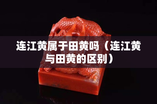 連江黃屬于田黃嗎（連江黃與田黃的區別）