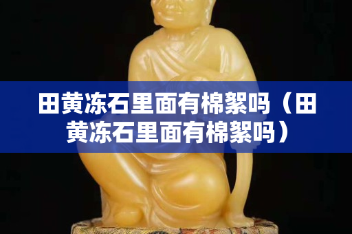 田黃凍石里面有棉絮嗎(田黃凍石里面有棉絮嗎) 田黃凍石里面有棉絮嗎(田黃凍石里面有棉絮嗎)