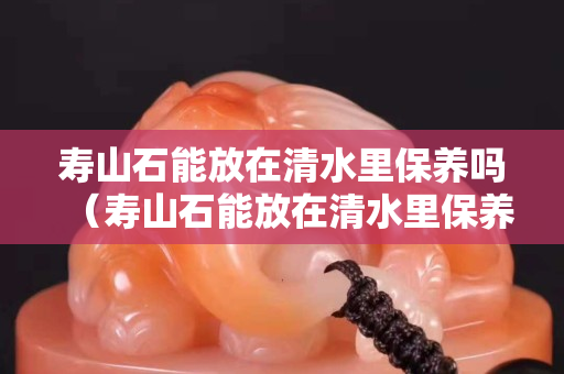 壽山石能放在清水里保養(yǎng)嗎（壽山石能放在清水里保養(yǎng)嗎）