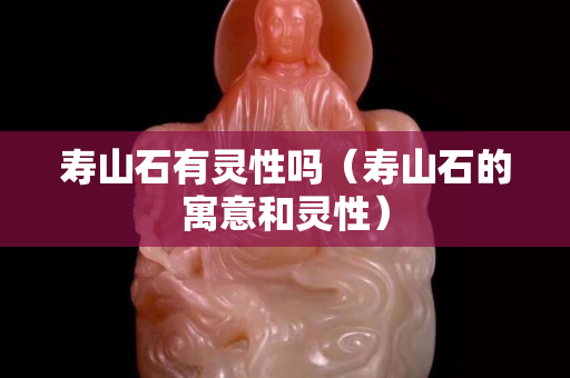 壽山石有靈性嗎（壽山石的寓意和靈性）