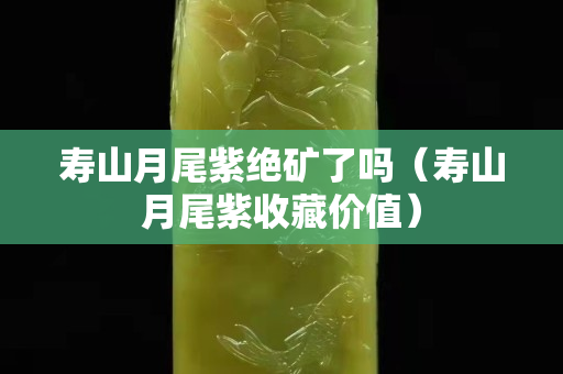 壽山月尾紫絕礦了嗎（壽山月尾紫收藏價值）