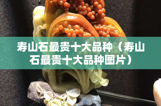 壽山石最貴十大品種（壽山石最貴十大品種圖片）