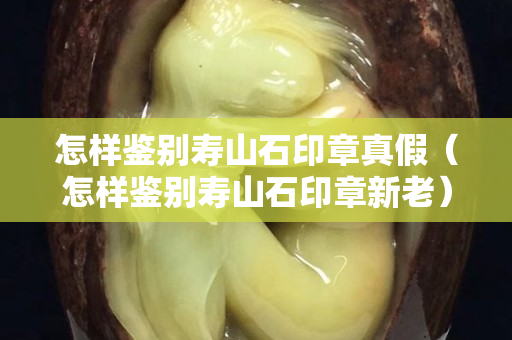 怎樣鑒別壽山石印章真假（怎樣鑒別壽山石印章新老）