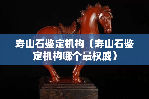 壽山石鑒定機構(壽山石鑒定機構哪個最權威) 壽山石鑒定機構(壽山石鑒定機構哪個最權威)
