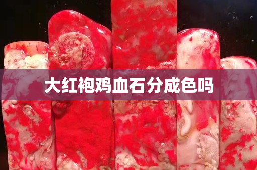 大紅袍雞血石分成色嗎