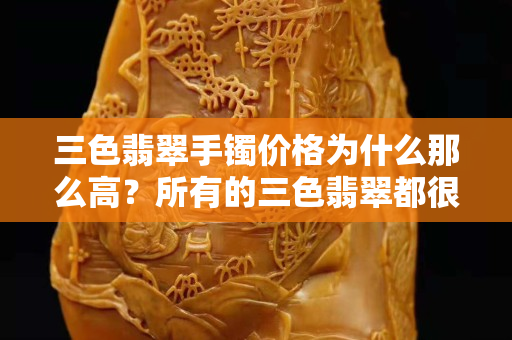 三色翡翠手鐲價(jià)格為什么那么高？所有的三色翡翠都很貴嗎？