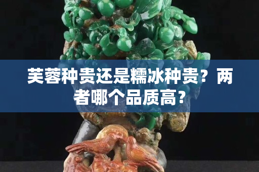 芙蓉種貴還是糯冰種貴？兩者哪個品質高？