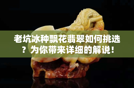 老坑冰種飄花翡翠如何挑選？為你帶來詳細(xì)的解說！