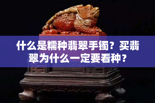 什么是糯種翡翠手鐲？買翡翠為什么一定要看種？