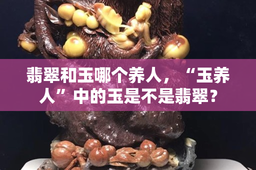 翡翠和玉哪個養人，“玉養人”中的玉是不是翡翠？
