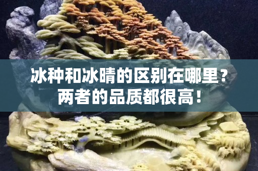 冰種和冰晴的區別在哪里？兩者的品質都很高！