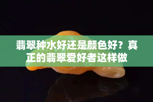 翡翠種水好還是顏色好？真正的翡翠愛好者這樣做