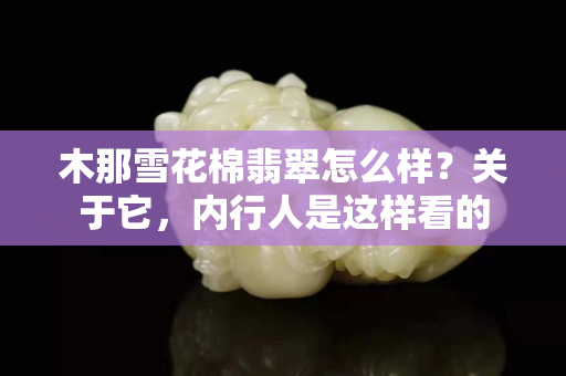 木那雪花棉翡翠怎么樣？關于它，內行人是這樣看的