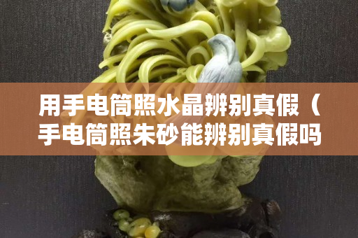 用手電筒照水晶辨別真假（手電筒照朱砂能辨別真假嗎）