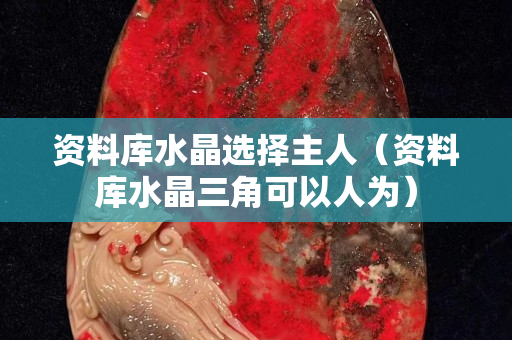 資料庫水晶選擇主人（資料庫水晶三角可以人為）