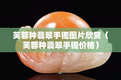 芙蓉種翡翠手鐲圖片欣賞（芙蓉種翡翠手鐲價格）