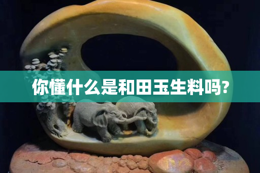 你懂什么是和田玉生料嗎?