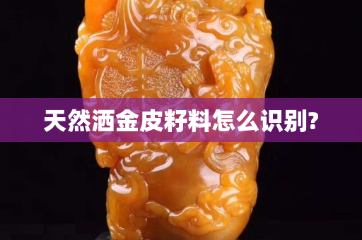 天然灑金皮籽料怎么識(shí)別? 天然灑金皮籽料怎么識(shí)別?