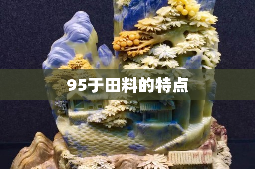 95于田料的特點