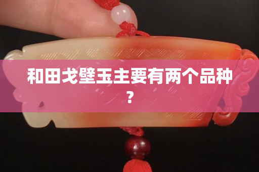 和田戈壁玉主要有兩個品種?