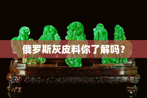 俄羅斯灰皮料你了解嗎？