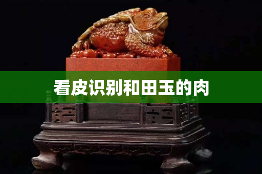 看皮識別和田玉的肉