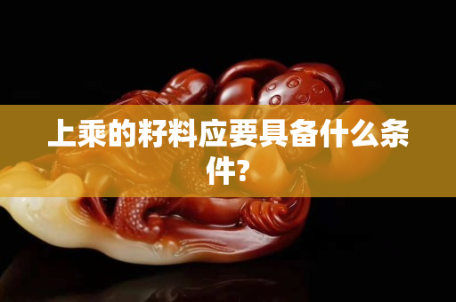 上乘的籽料應(yīng)要具備什么條件?