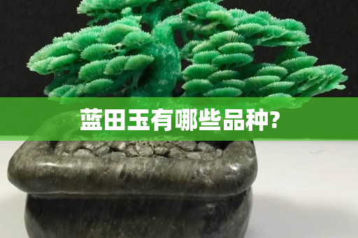 藍田玉有哪些品種?