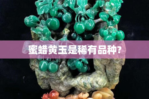 蜜蠟黃玉是稀有品種? 蜜蠟黃玉是稀有品種?