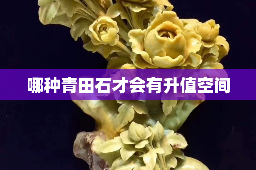 哪種青田石才會有升值空間