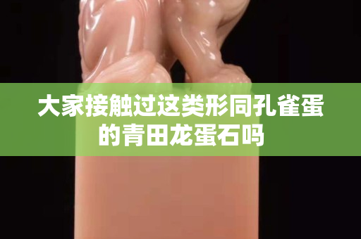 大家接觸過這類形同孔雀蛋的青田龍蛋石嗎