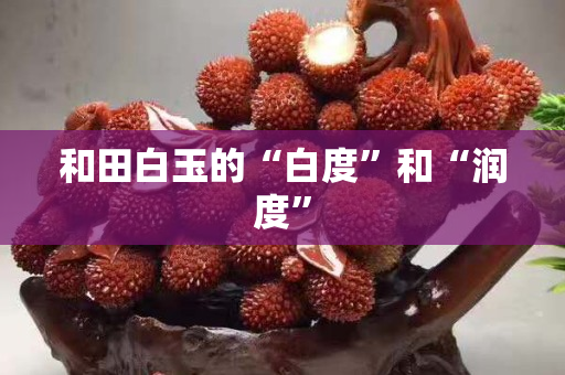 和田白玉的“白度”和“潤度” 和田白玉的“白度”和“潤度”