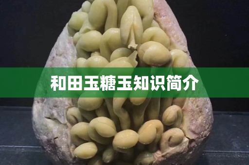 和田玉糖玉知識簡介