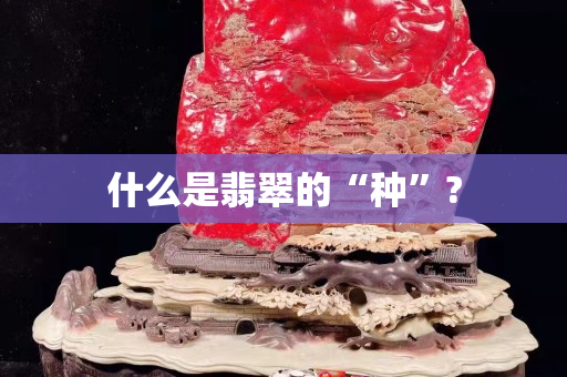 什么是翡翠的“種”?