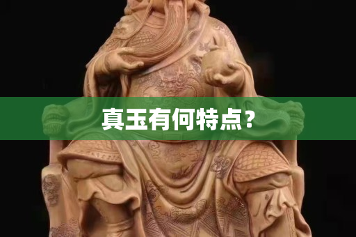 真玉有何特點？