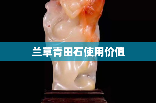蘭草青田石使用價值 蘭草青田石使用價值