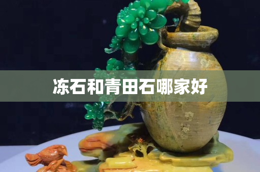 凍石和青田石哪家好