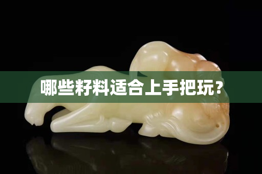 哪些籽料適合上手把玩? 哪些籽料適合上手把玩?