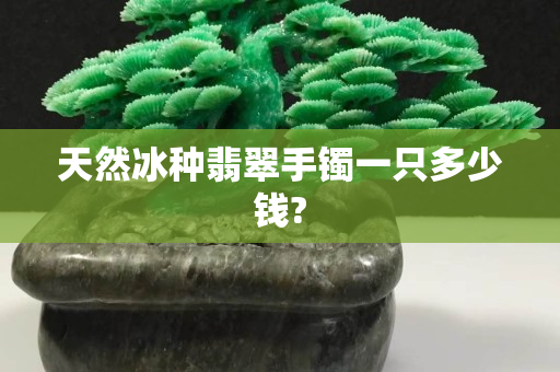 天然冰種翡翠手鐲一只多少錢(qián)?