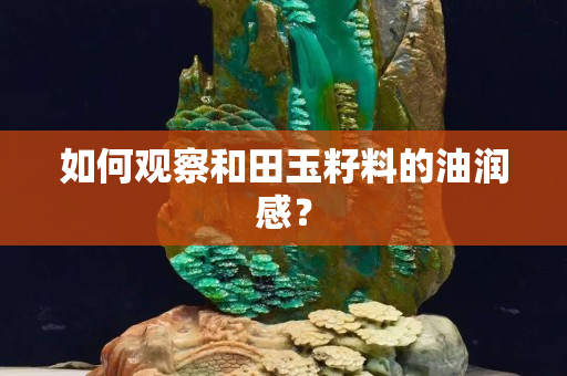 如何觀察和田玉籽料的油潤感? 如何觀察和田玉籽料的油潤感?