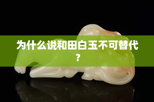 為什么說和田白玉不可替代? 為什么說和田白玉不可替代?