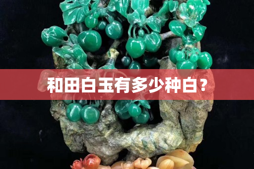 和田白玉有多少種白？